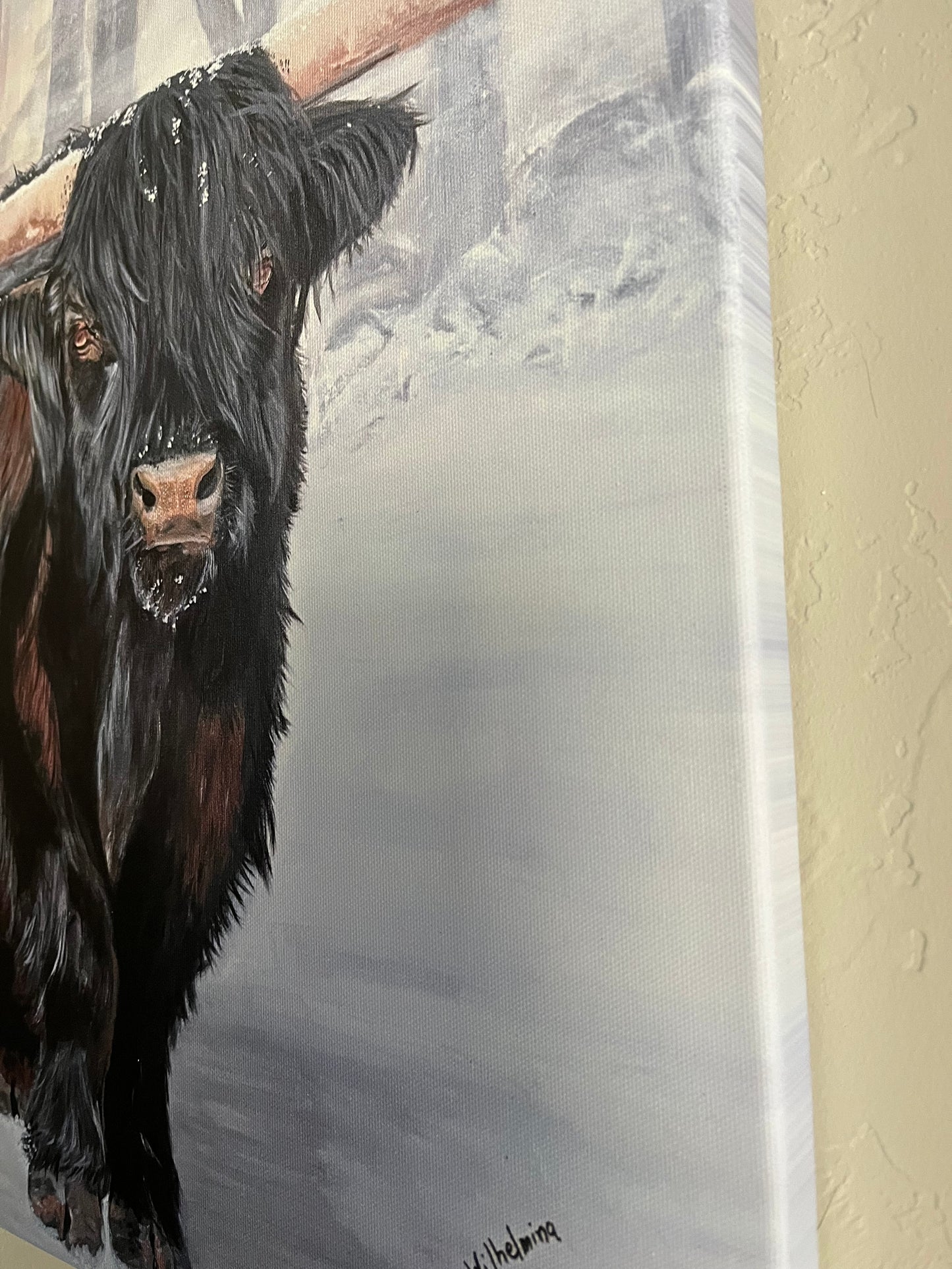 Bull Steady