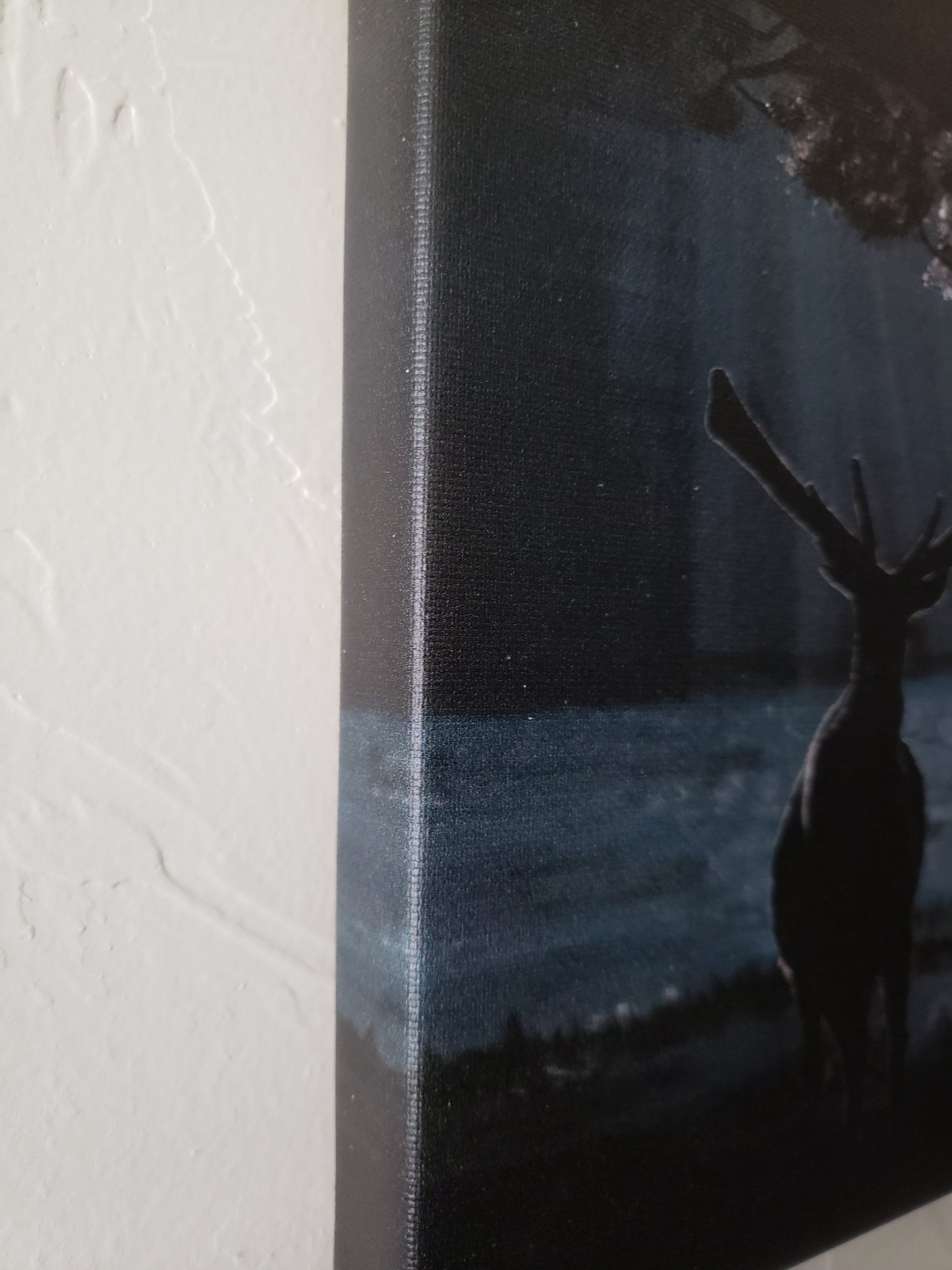"Rays" Canvas Print