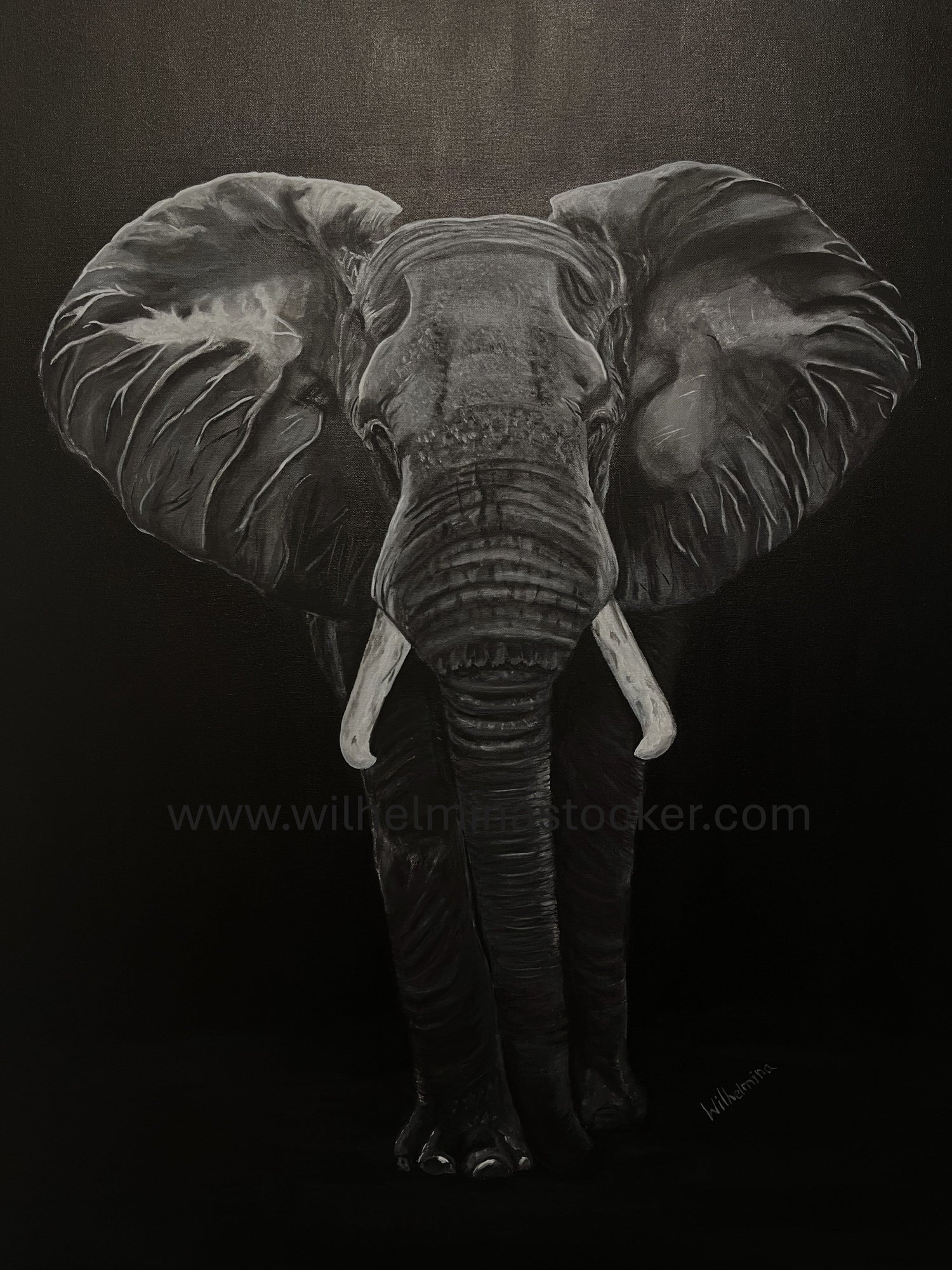 Wildlife