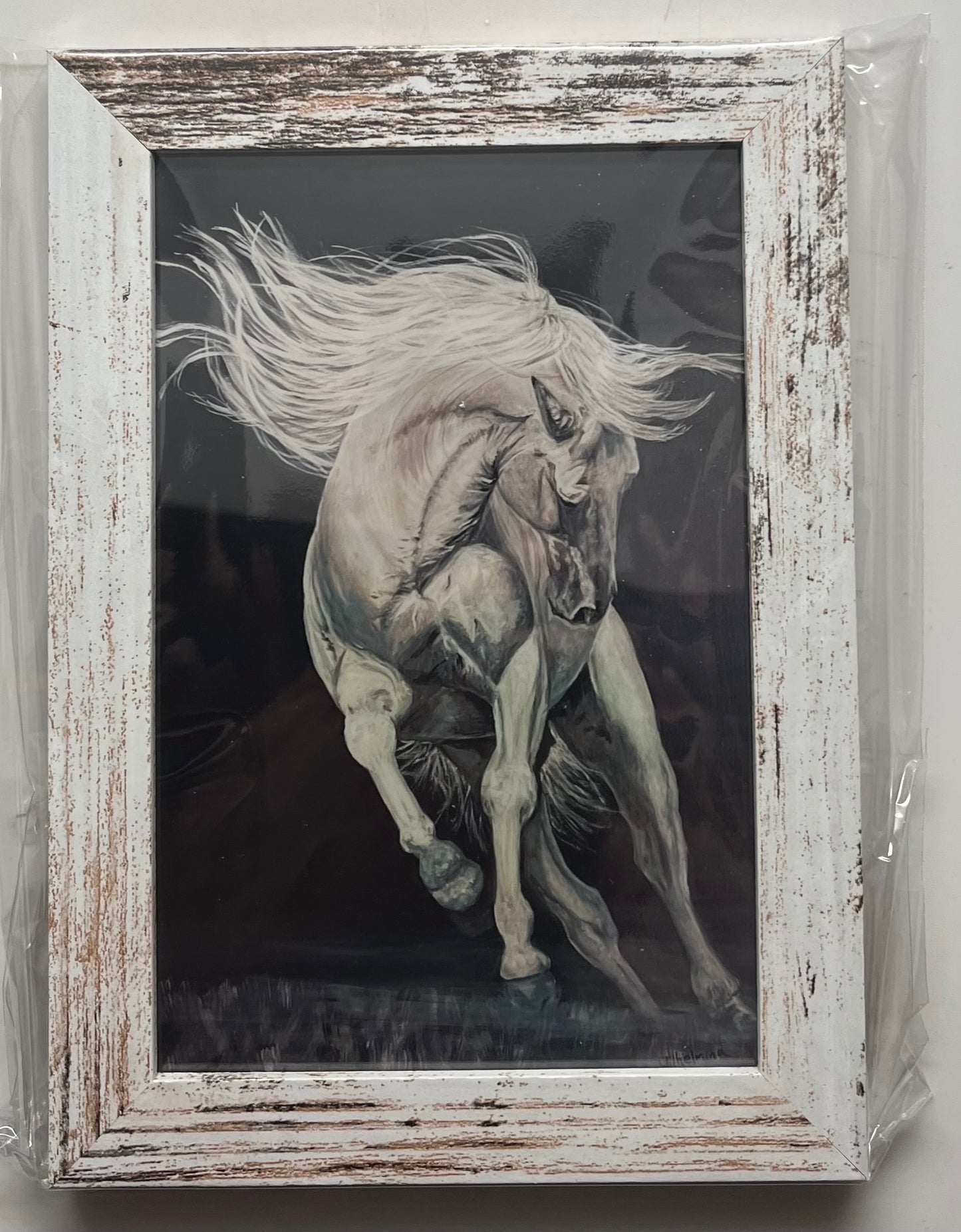 Framed prints