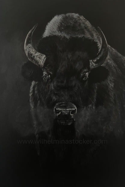 Breathe - Bison Art
