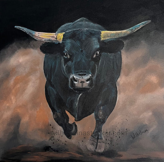 Bull Run