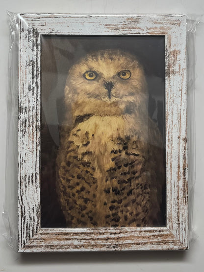 Framed prints