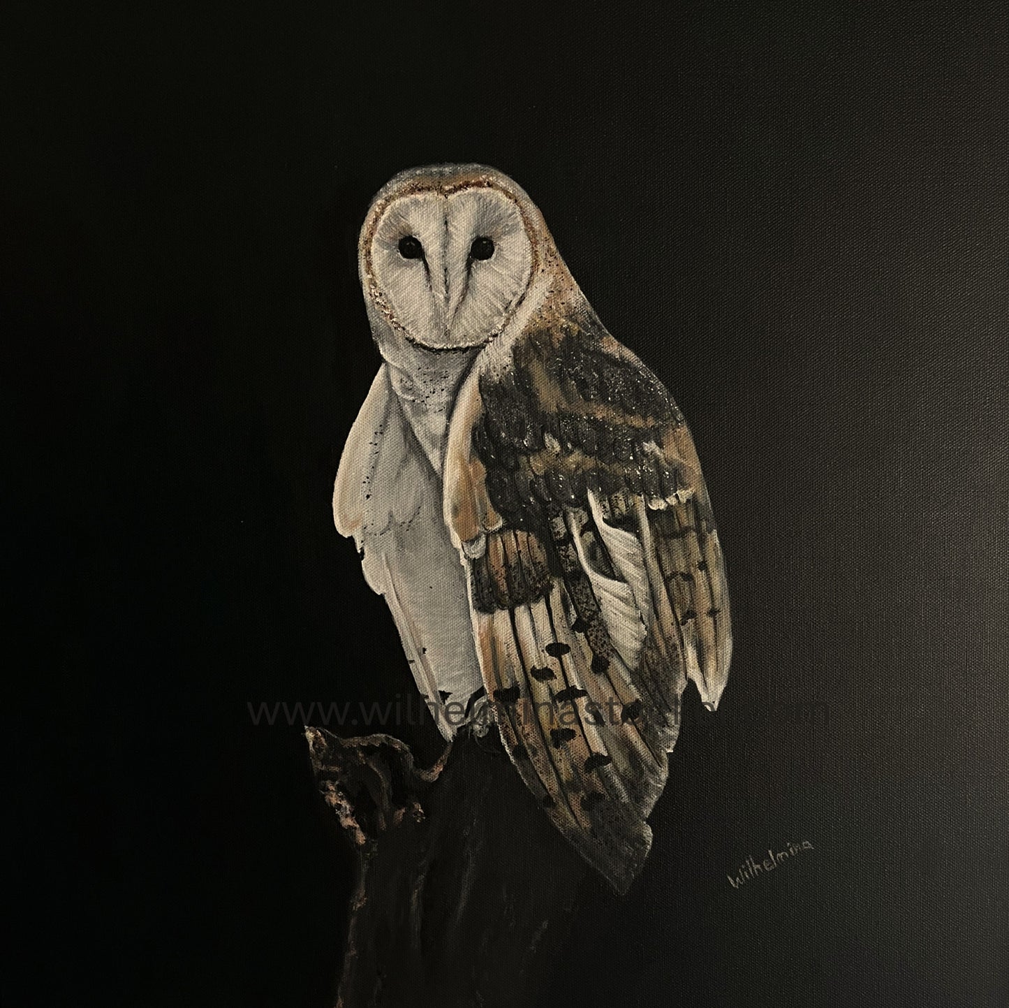 Decisiveness - Owl painting