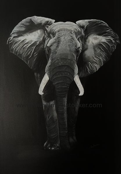 "Grace" - Elephant