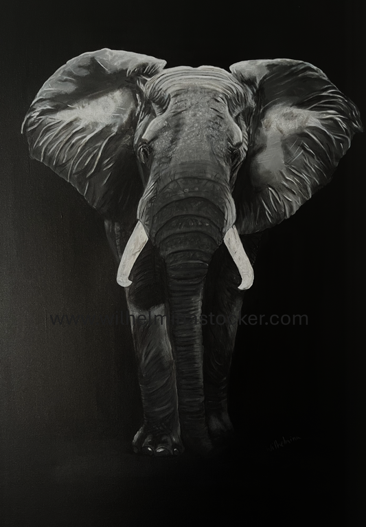 "Grace" - Elephant