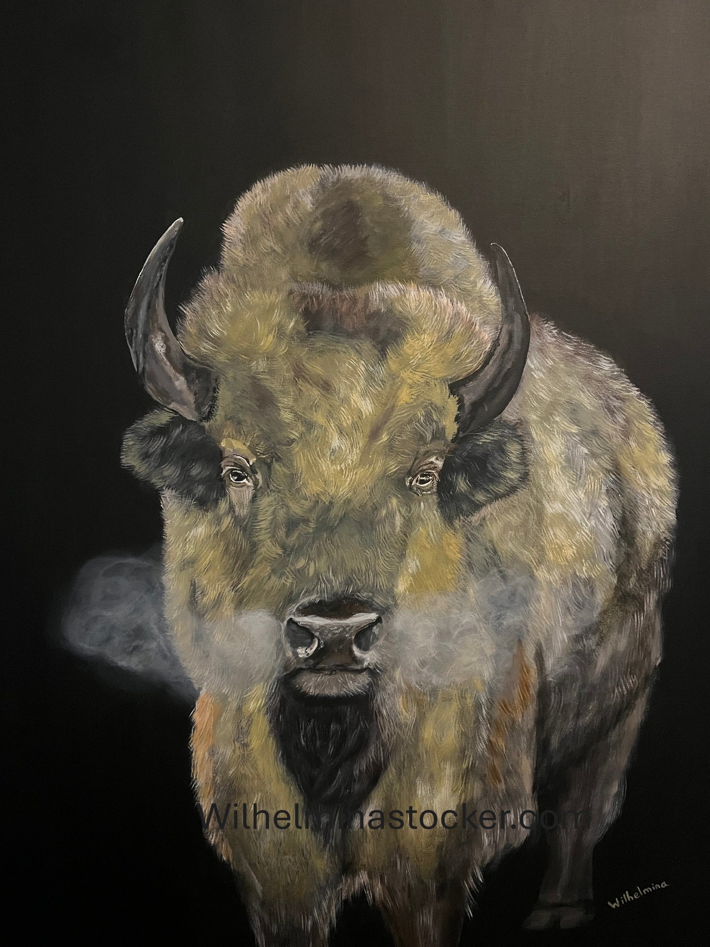 Fruition - White Bison