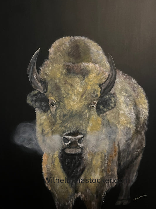 Fruition - White Bison