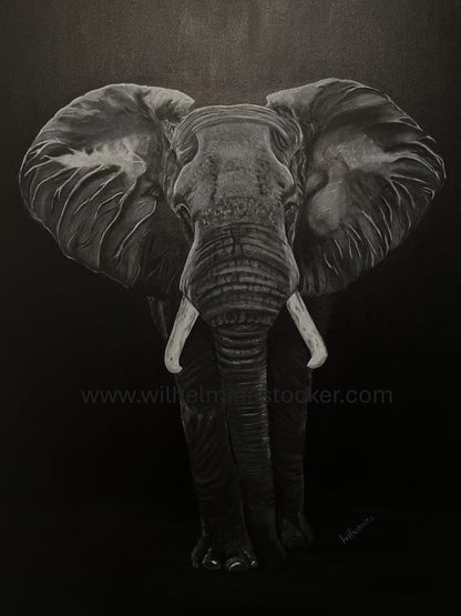 "Grace" - Elephant