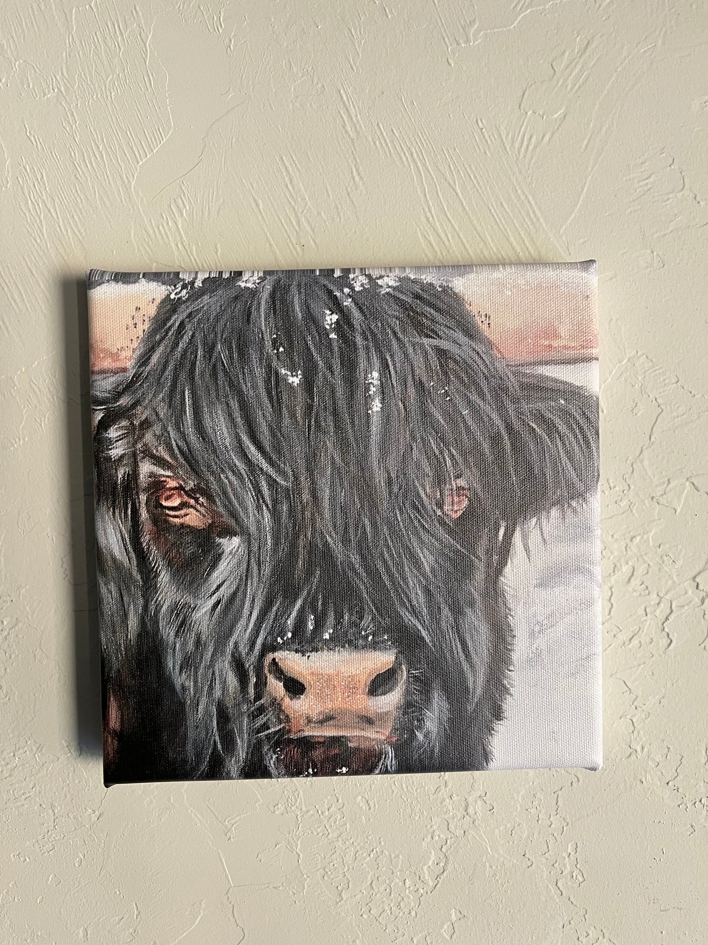 Bull Steady - Print