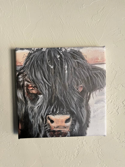 Bull Steady - Print