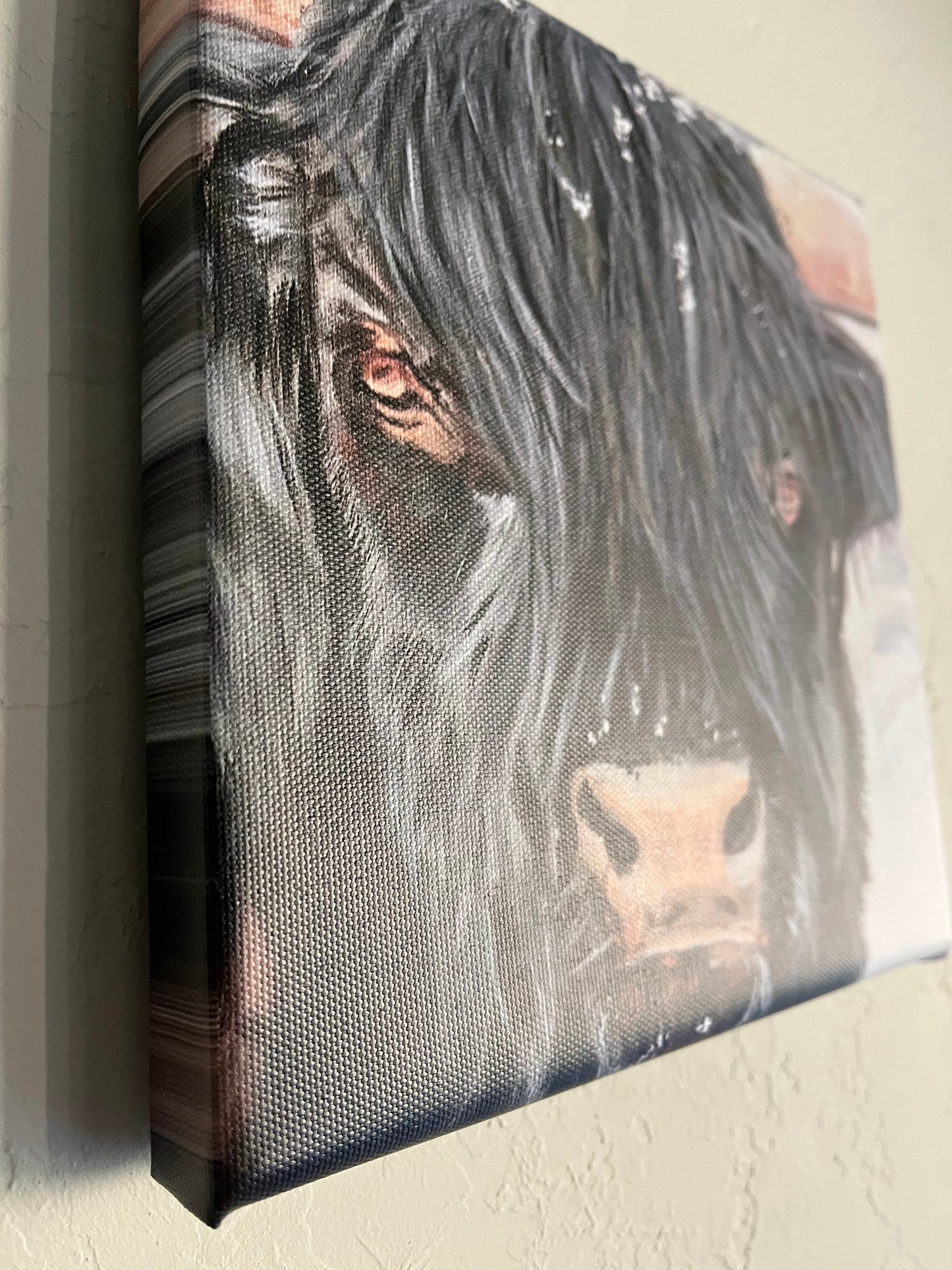 Bull Steady - Print
