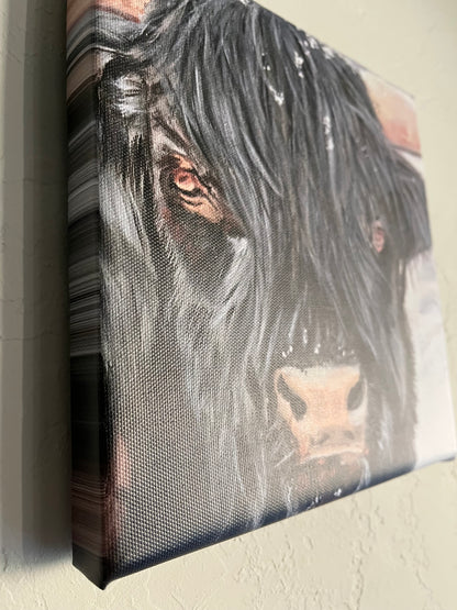 Bull Steady - Print