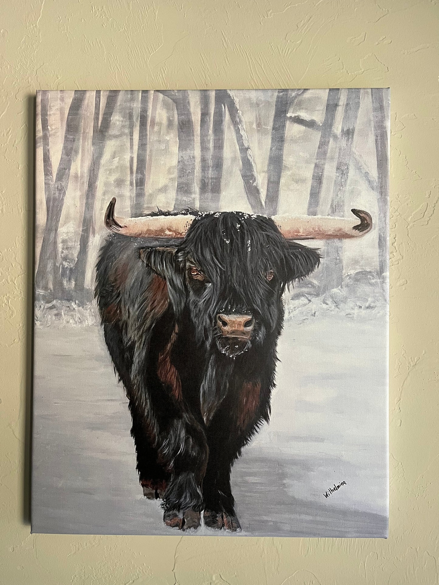 Bull Steady