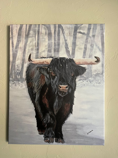 Bull Steady