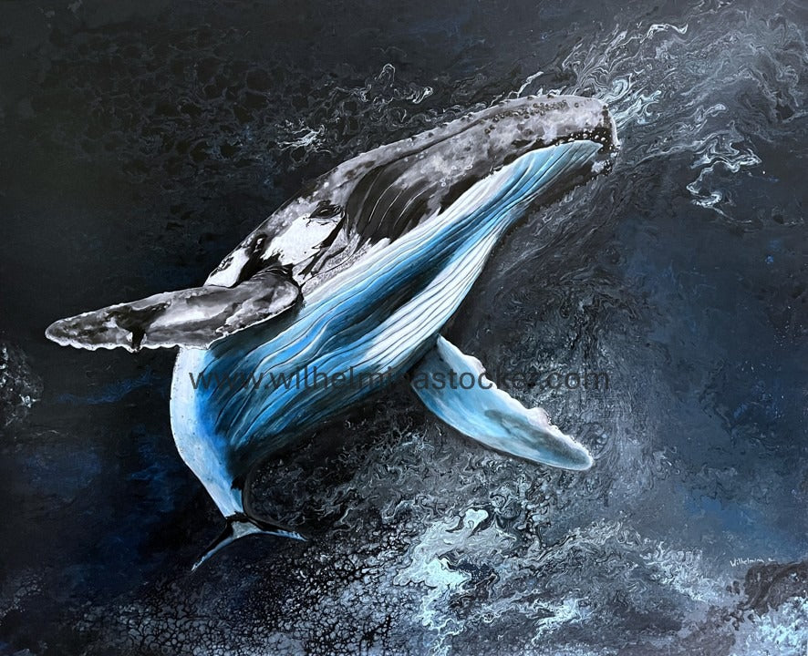 King of the Seas - Print
