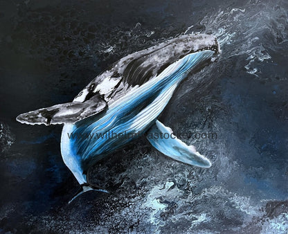 King of the Seas - Print