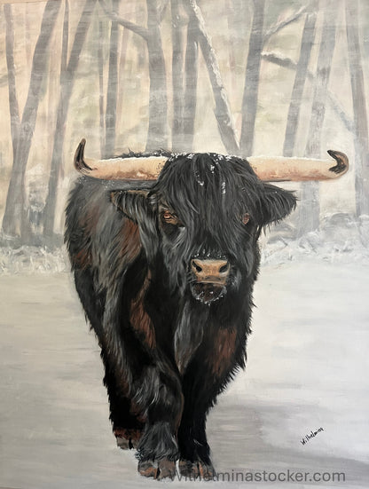 Bull Steady