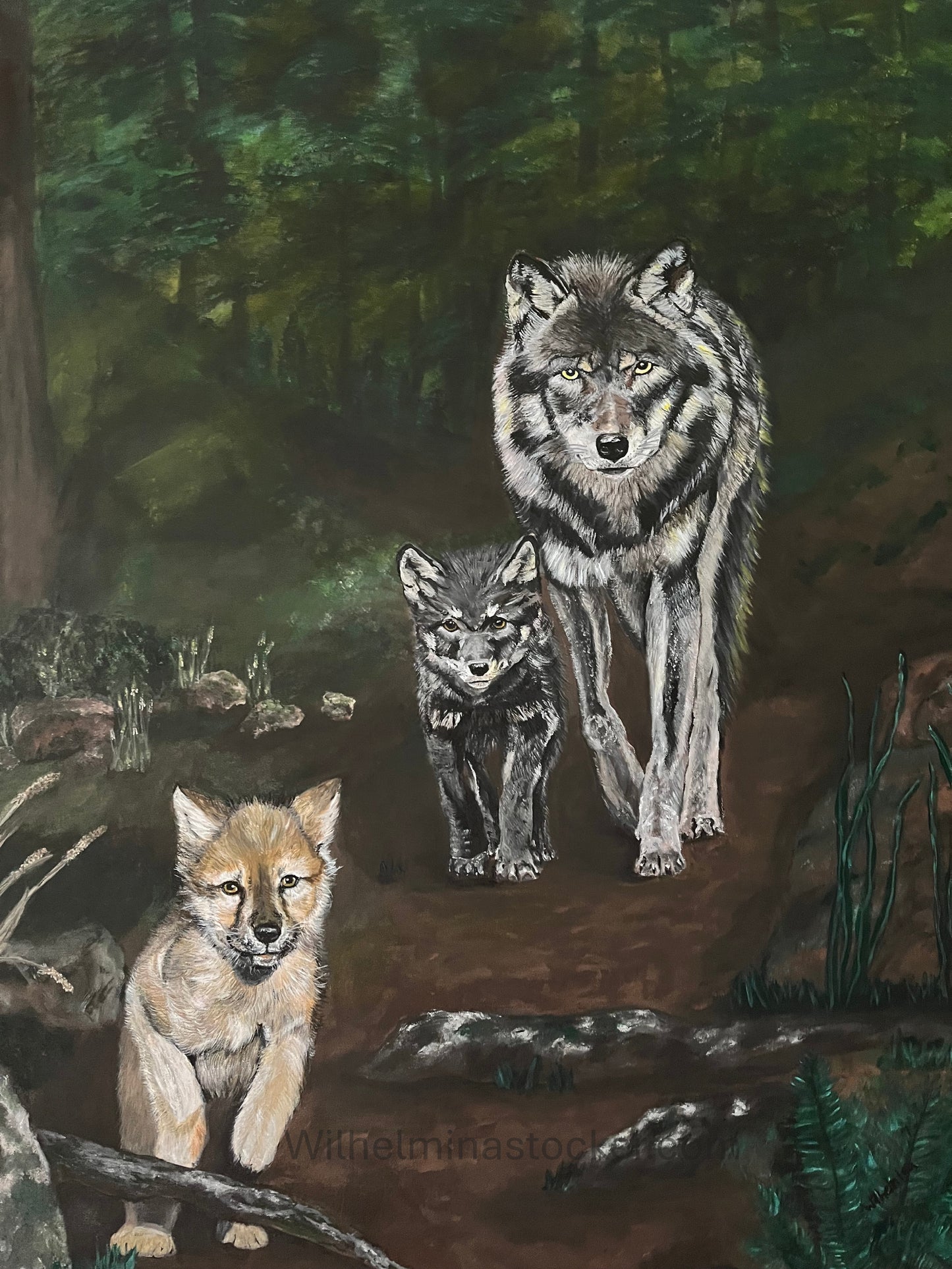 Guidance - Wolves